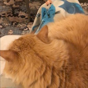 Meet your Posher, Carol